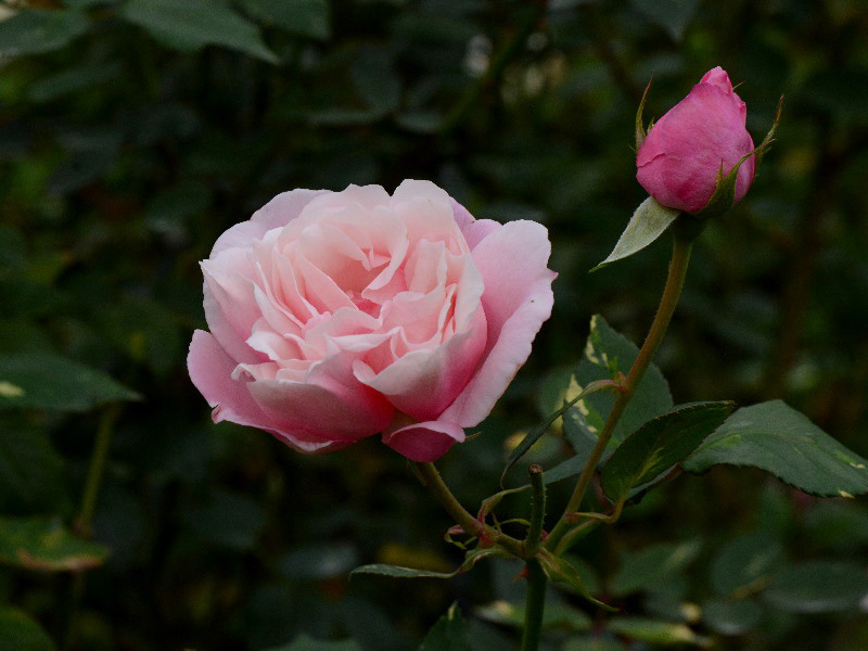%_tempFileName32-20131102-0610%