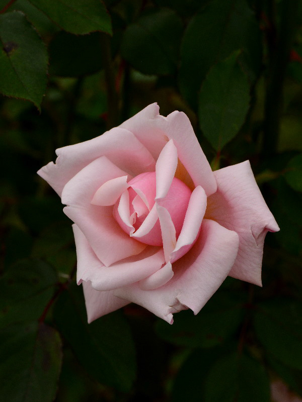 %_tempFileName53-20151023-0514%