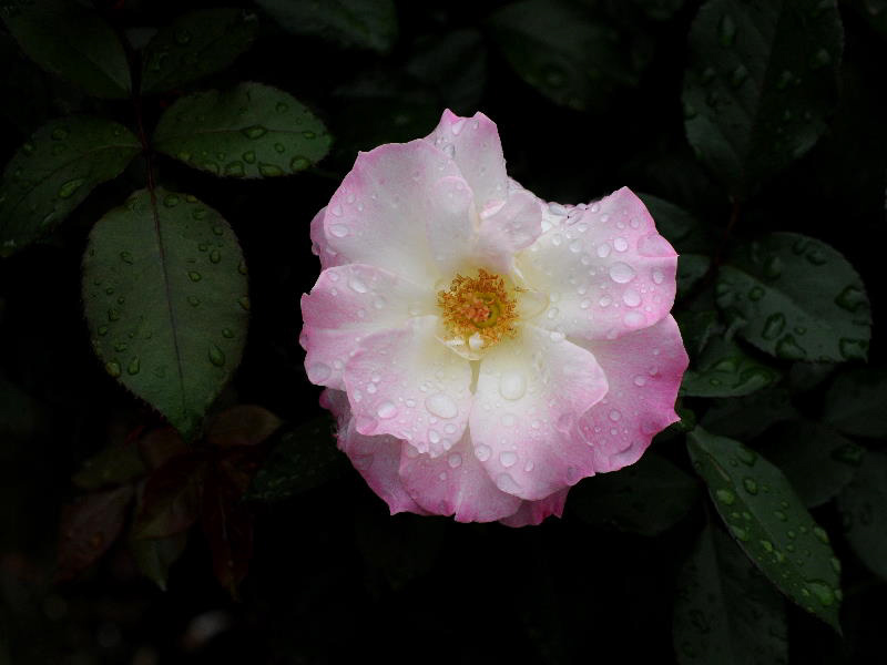 %_tempFileName70-20101030-0243%