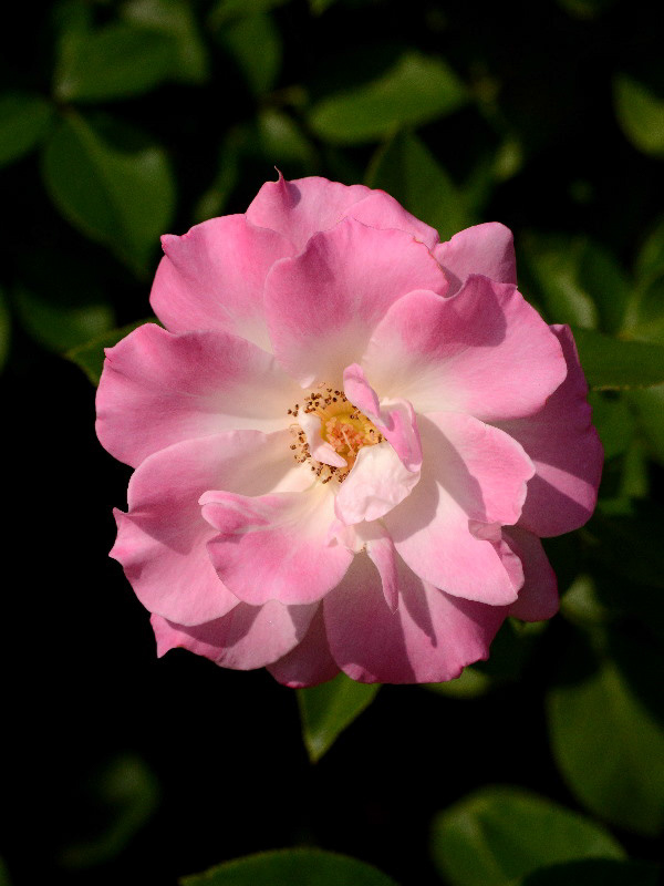 %_tempFileName87-20121013-0229%