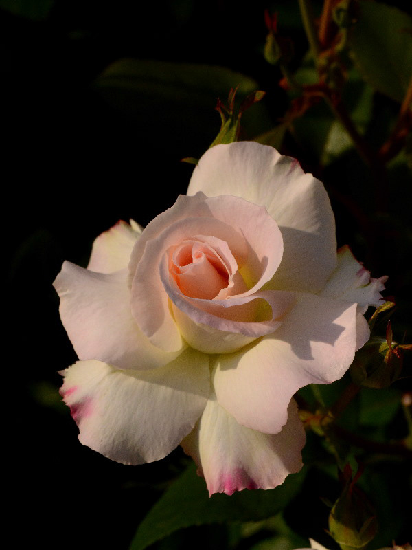 %_tempFileName88-20130514-0226%