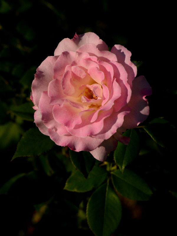 %_tempFileName92-20141024-0419%