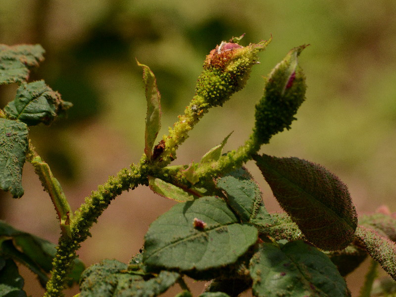 %_tempFileName27-20130525-0430%