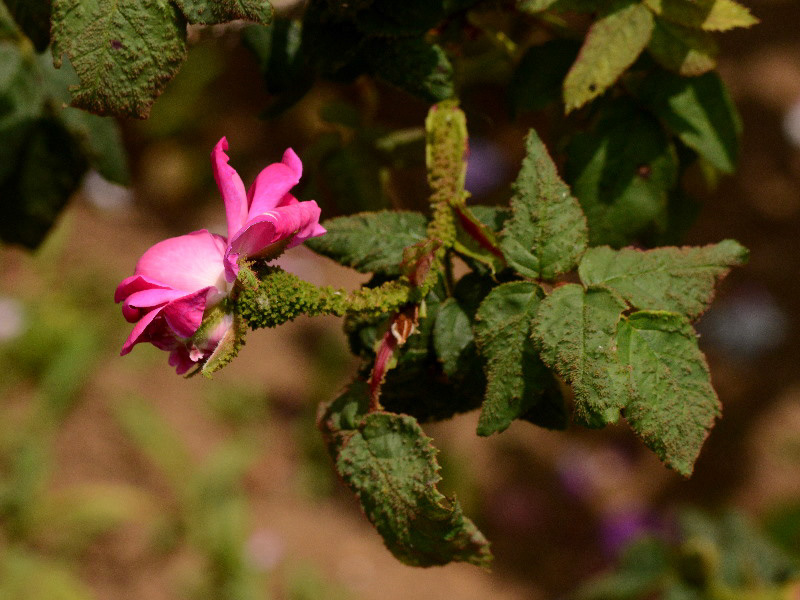 %_tempFileName35-20130525-0438%