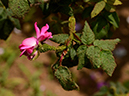 %_tempFileName35-20130525-0438%