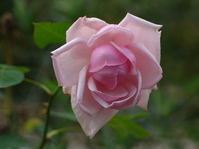 %_tempFileName49-20061007-0450%