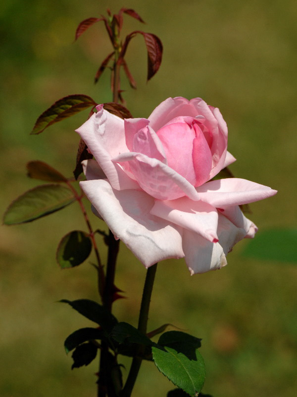 %_tempFileName54-20070515-0040%