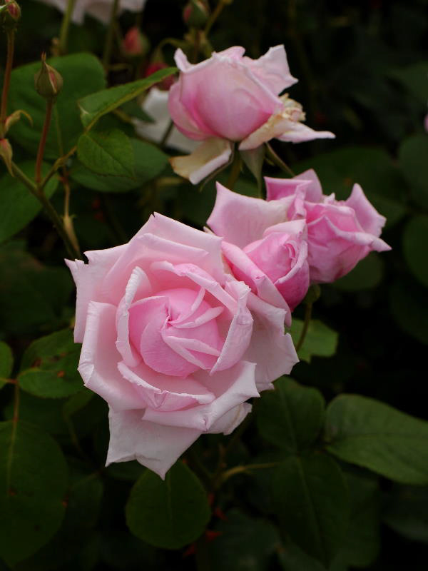 %_tempFileName93-20110521-0104%