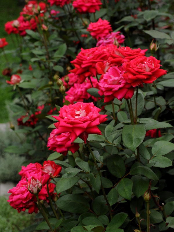 %_tempFileName43-20090720-0343%