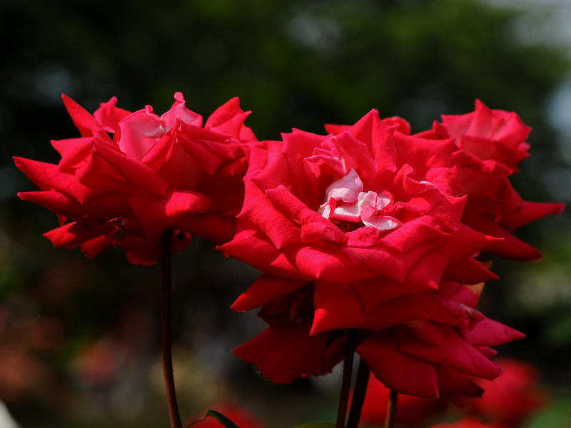 %_tempFileName60-20110619-0357%