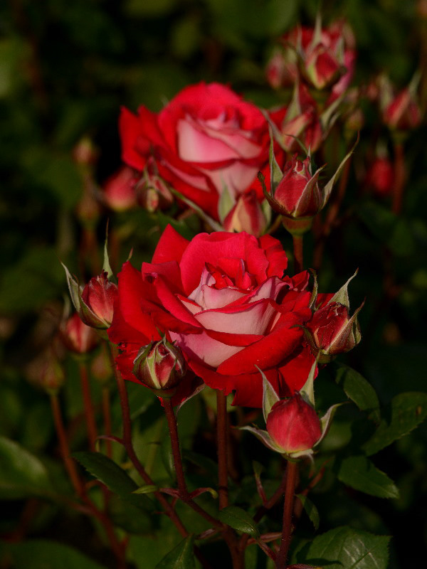 %_tempFileName65-20120514-0196%