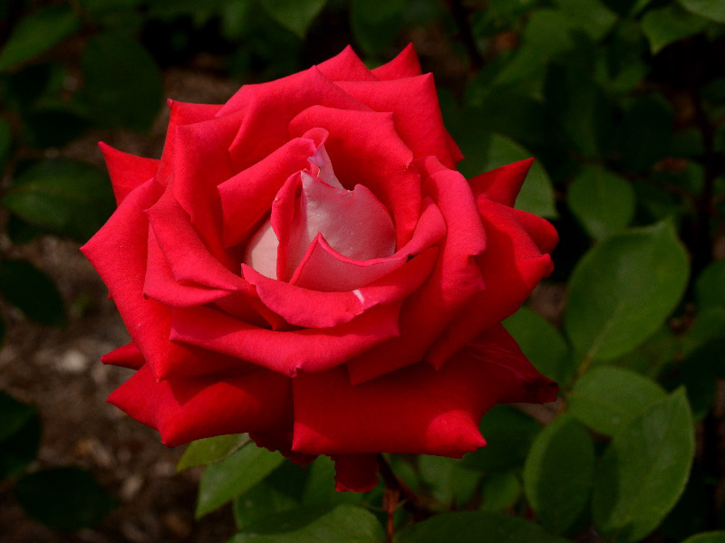 %_tempFileName72-20120526-0270%