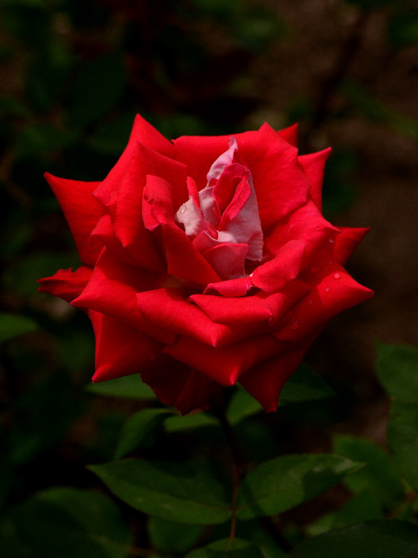 %_tempFileName74-20120526-0273%