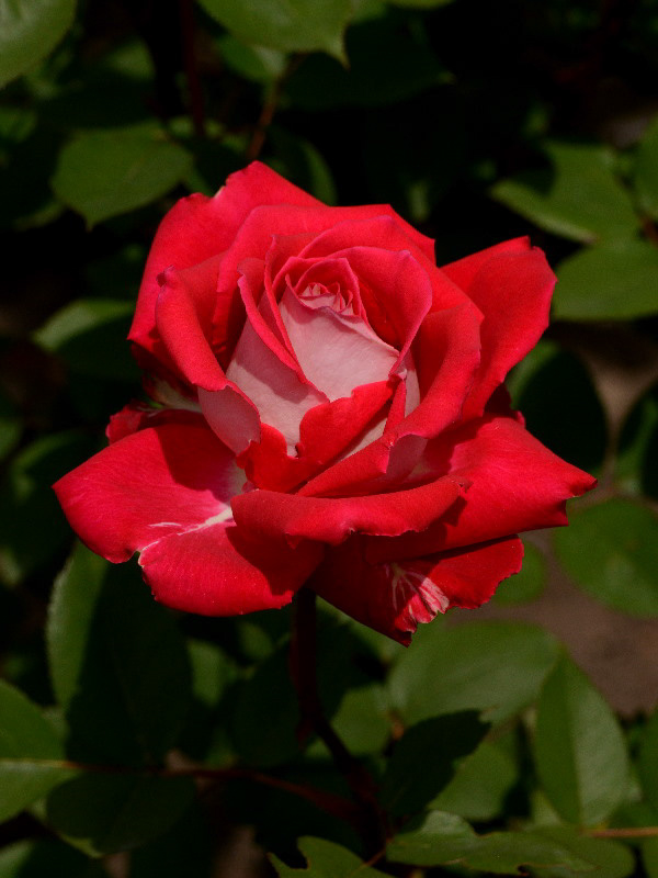 %_tempFileName79-20140519-0102%