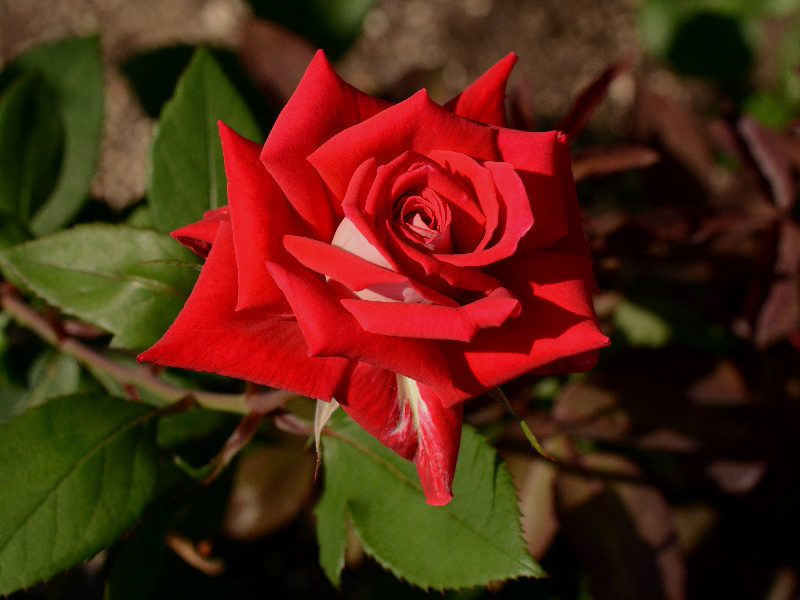 %_tempFileName88-20150527-0524%