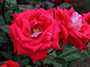 %_tempFileName26-20080608-0304%