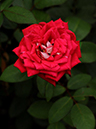 %_tempFileName42-20090720-0342%