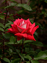 %_tempFileName68-20120526-0254%