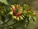 %_tempFileName36-20031031-0351%