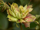 %_tempFileName40-20040508-0211%
