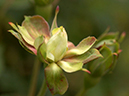 %_tempFileName41-20040508-0212%