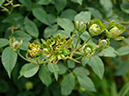 %_tempFileName51-20060604-0425%