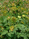 %_tempFileName52-20060604-0426%