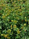%_tempFileName53-20060604-0427%