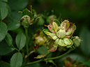 %_tempFileName54-20060604-0428%