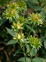 %_tempFileName59-20061014-0673%