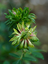 %_tempFileName61-20061029-0112%