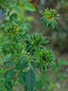%_tempFileName62-20061029-0113%