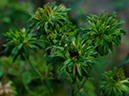 %_tempFileName63-20061029-0114%