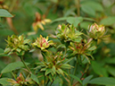 %_tempFileName91-20071110-0362%