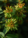 %_tempFileName92-20071110-0480%