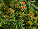 %_tempFileName94-20071124-0214%