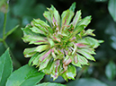 %_tempFileName98-20080525-2103%