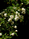 %_tempFileName08-20070512-0348%