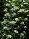 %_tempFileName15-20080503-0313%