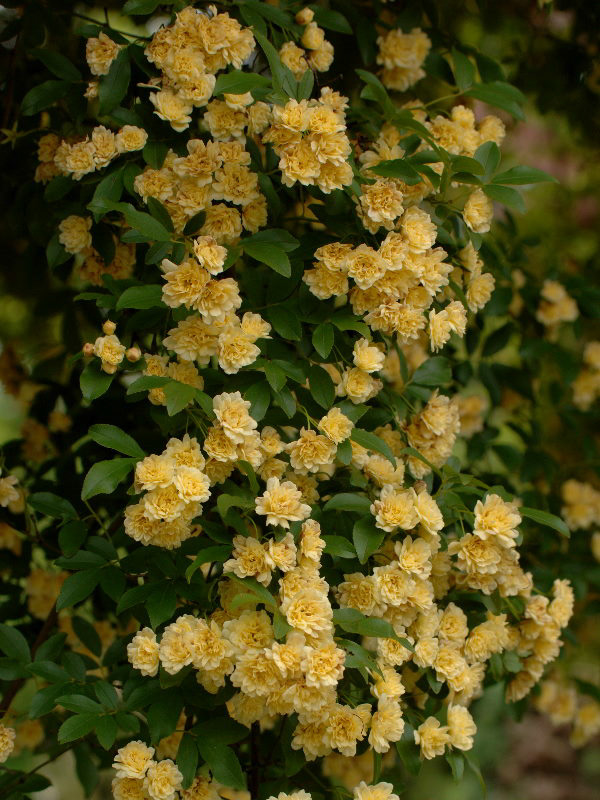 %_tempFileName46-20050508-0325%