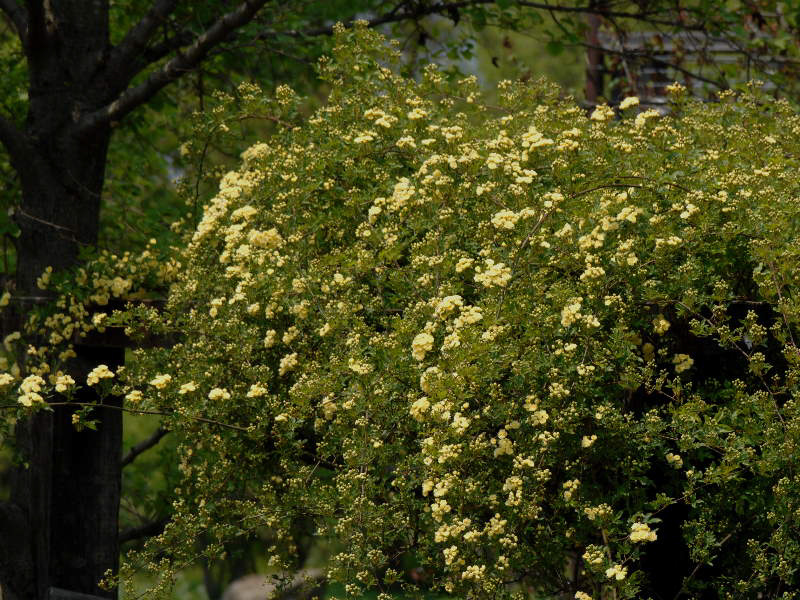 %_tempFileName56-20070428-0287%
