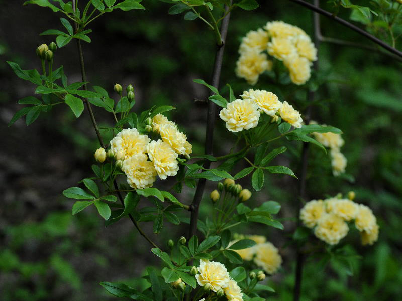 %_tempFileName75-20090429-0325%