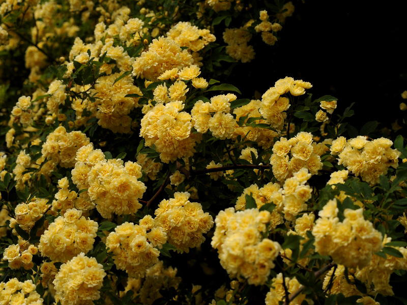 %_tempFileName87-20100509-0339%