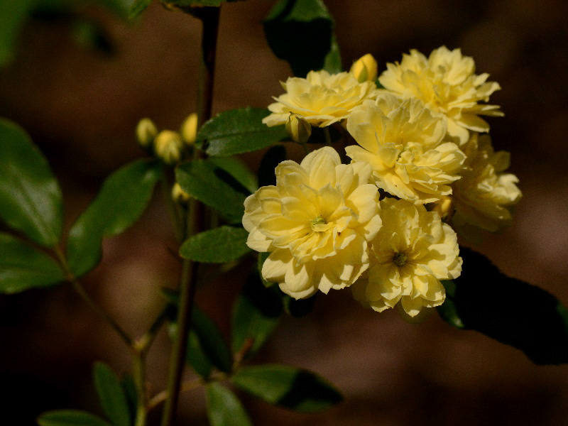 %_tempFileName94-20120505-0108%