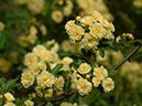 %_tempFileName30-20050505-0555%