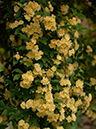 %_tempFileName46-20050508-0325%