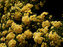 %_tempFileName87-20100509-0339%
