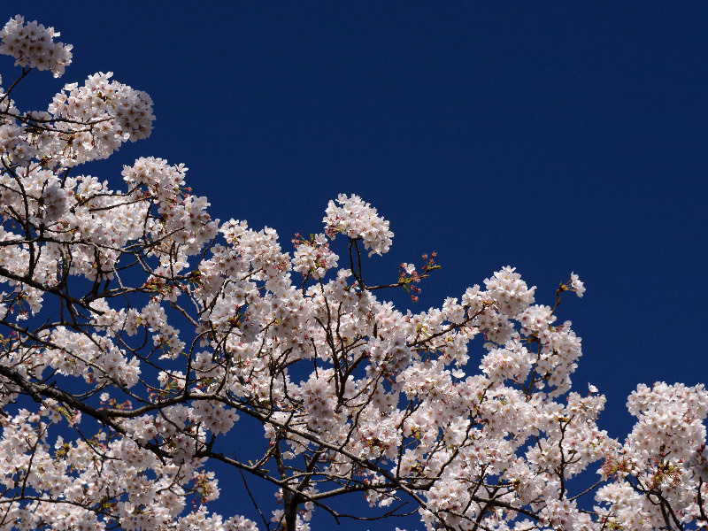 %_tempFileName025-20120407-0027%