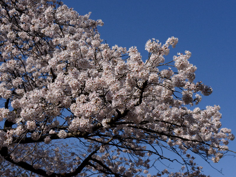 %_tempFileName026-20120407-0029%