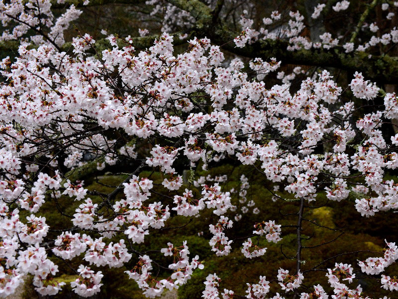 %_tempFileName042-20130331-0091%